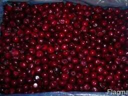 Вишня б/к замороженная