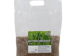 Вівсяниця лучна