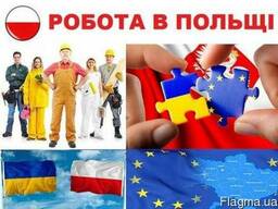 Візи, запрошення, страховка повний пакет документів в Польщу