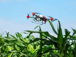 Внесення ЗЗР безпілотними літальними апаратами