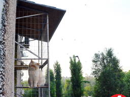 Вольєр для кішок на вікно. Броневик Дніпро.