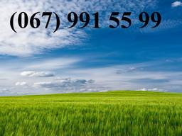 Возьму в аренду (куплю) землю с. х. назначения