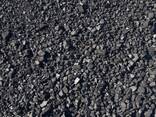 Вугілля , шлам вуглевмісткий - фото 2