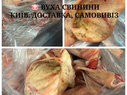 Вуха свинячі