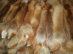 Вычинка шкур лисы