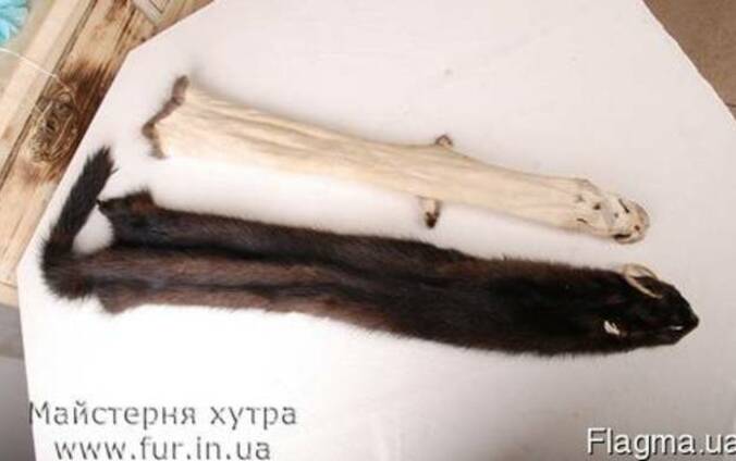Выделка покраска стрижка меха, шкур бобра выдры лисицы нутри