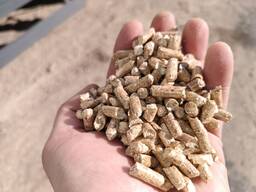 Виробляємо деревні пеллети d6 мм (сосна100%)