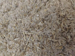 Висівки ЯЧМІННІ кормові