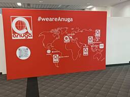 Выставки - в Европе и мире " под ключ"