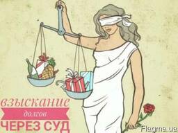 Взыскание долгов через суд