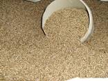 Wood Pellets for Heating ENplus A1 - фото 2