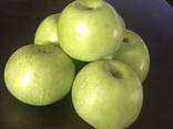 Яблоко закупка - фото 3