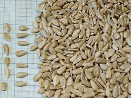 Ядро подсолнечника кондитерских сортов