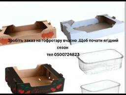 Ягадная упаковка картонная