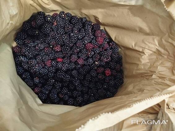 Ягода заморожена. Смородина, ожина суха заморозка. Frozen berry