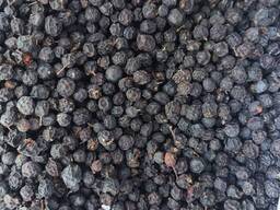 Ягоди терену