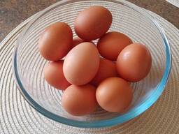 Яйця