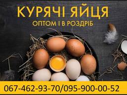Яйця курячі столові різних категорій від виробника