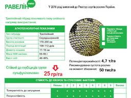 Якісне, сертифіковане насіння від виробника