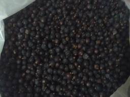 Ялівець(можевельник) ягоди