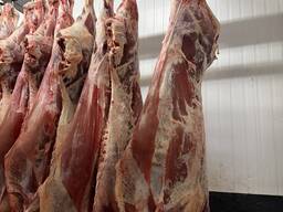 Яловичина охолоджена