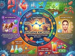 Янтарная кислота: Мощный биостимулятор и универсальный ресурс для современных технологий