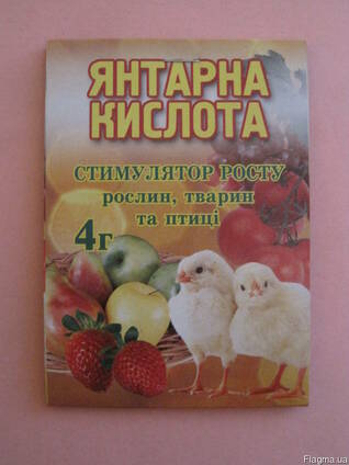 Янтарная кислота 4г