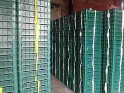 Продам ящик чешка ягодный 600*400*115, 600*400*95