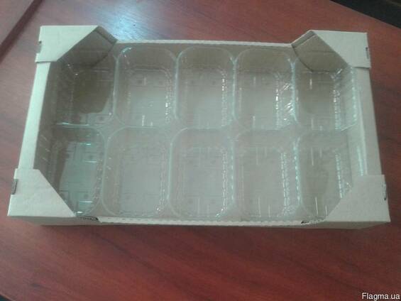 Ягодный гофролоток под пинекту 573*370*95мм