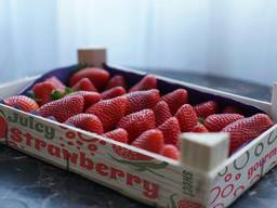 Ящики под ягоды и фрукты