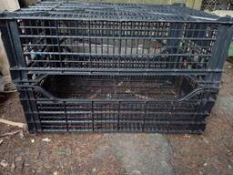 Ящик - клітка для птиці (курей , голубів , курчат та інш. )