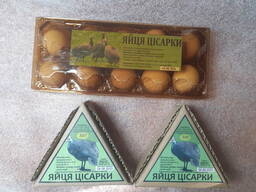 Яйца цесарки