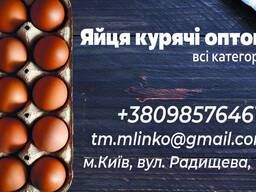 Яйца куриные опт, яйце куряче
