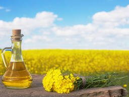 Євро-комерс закупляє гуртом всю олійну та зернову продукцію, Львівська обл.
