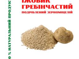 Їжовик гребінчастий (100% зерноміцелій) 50 грам