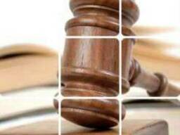 Юридические услуги по делам особого производства