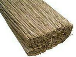 Забор из камыша (1м х 6м )