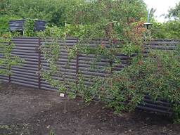 Паркан жалюзі темно-коричневий RAL 8019 двосторонні.