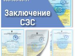 Заключение СЭС, Висновок СЕС