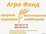 Закупаем кукурузу у сельхозпроизводителей - фото 2