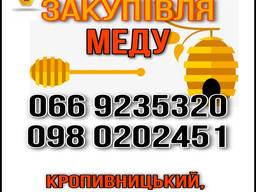 Закупаем мед оптом. Кировоградская обл
