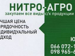 Закупаем ячмень на экспорт!