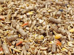 Закупаем соевый шрот, комбикорм