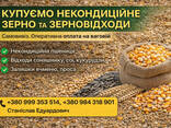 Закупівля зерновідходів та некондиційної агропродукції - фото 1