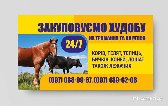 Закупивля ВРХ