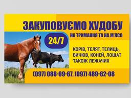 Закупивля ВРХ