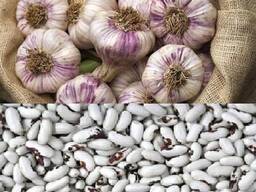Закупка квасолі, часнику (новий врожай)