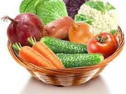 Закупка сировини - запрошуємо до співпраці господарства.