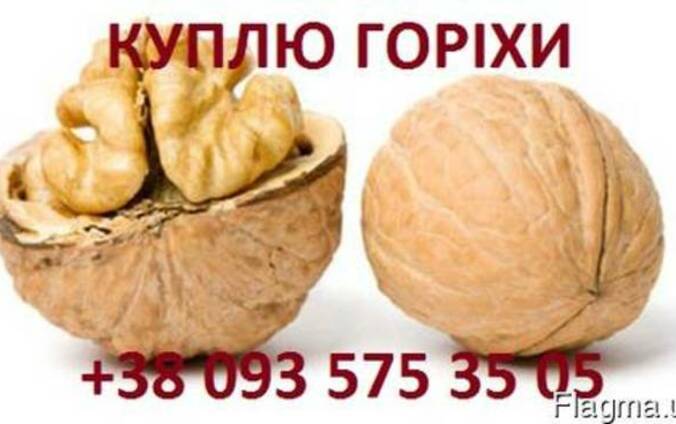 Закуповуємо горіх бойний,без "довбуна",урожай 2017.
