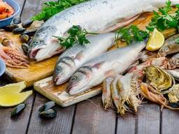 Закуповує свіжоморожену морську рибу в асортименті: скумбрію оселедець, салаку, хек, минт